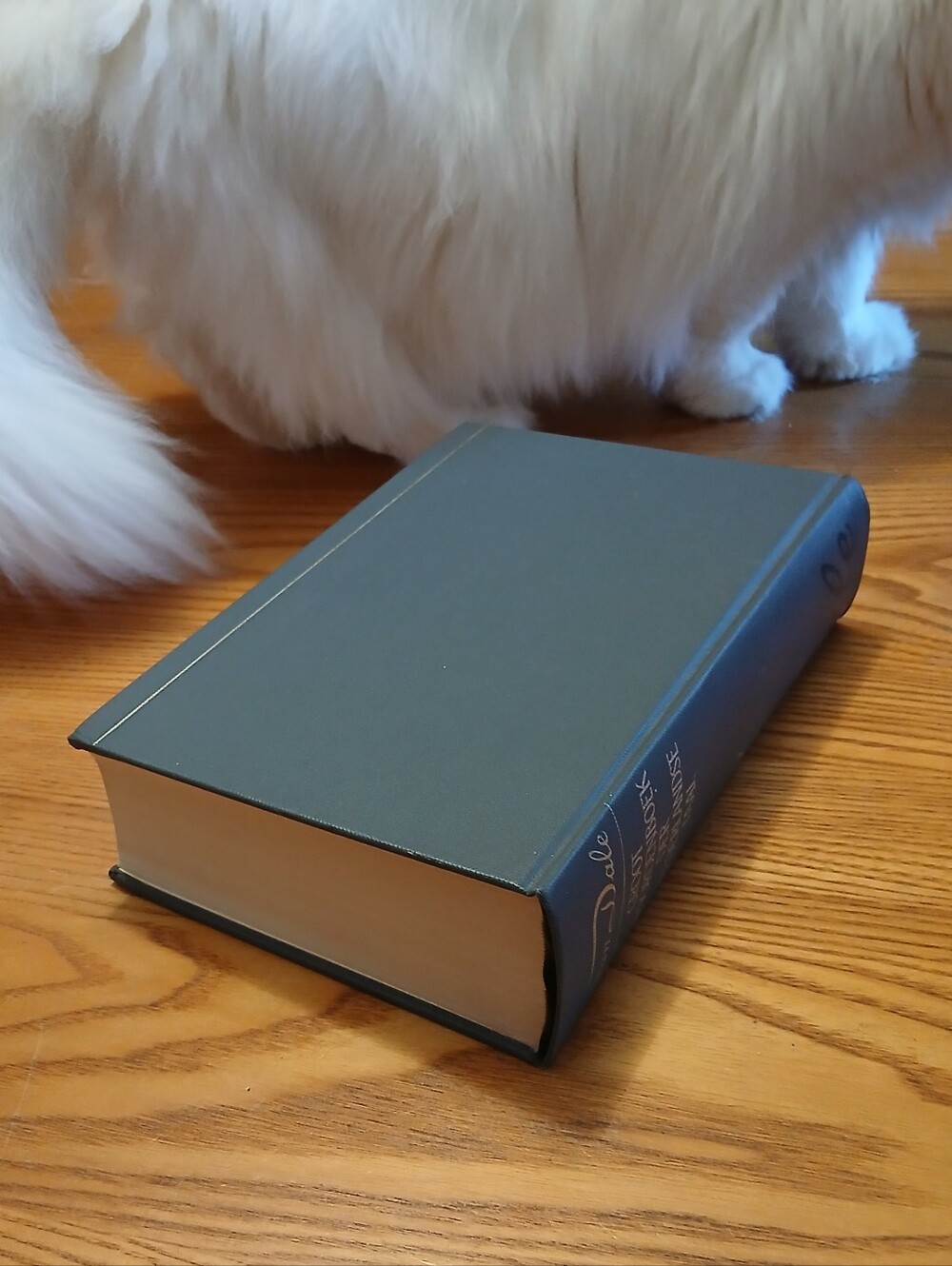 Vintage 1984 Van Dale Groot Woordenboek Hardcover Dutch Dictionary Vol 3 S-Z - Picture 8 of 16